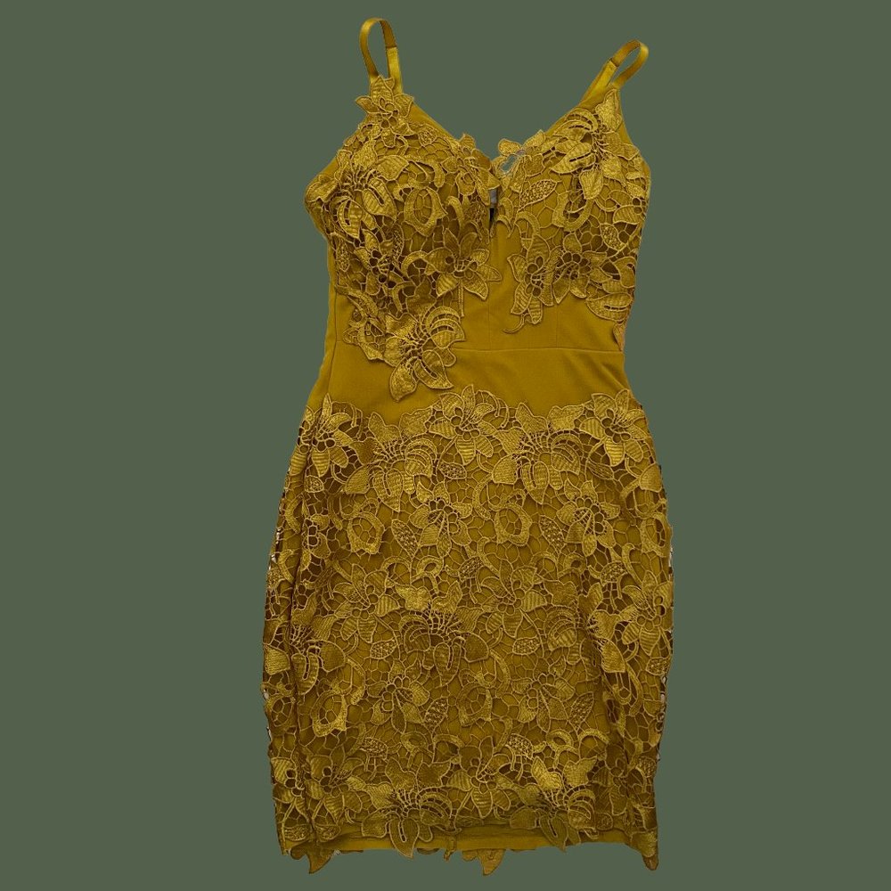 NWT LACE FASHIONNOVA MINI DRESS